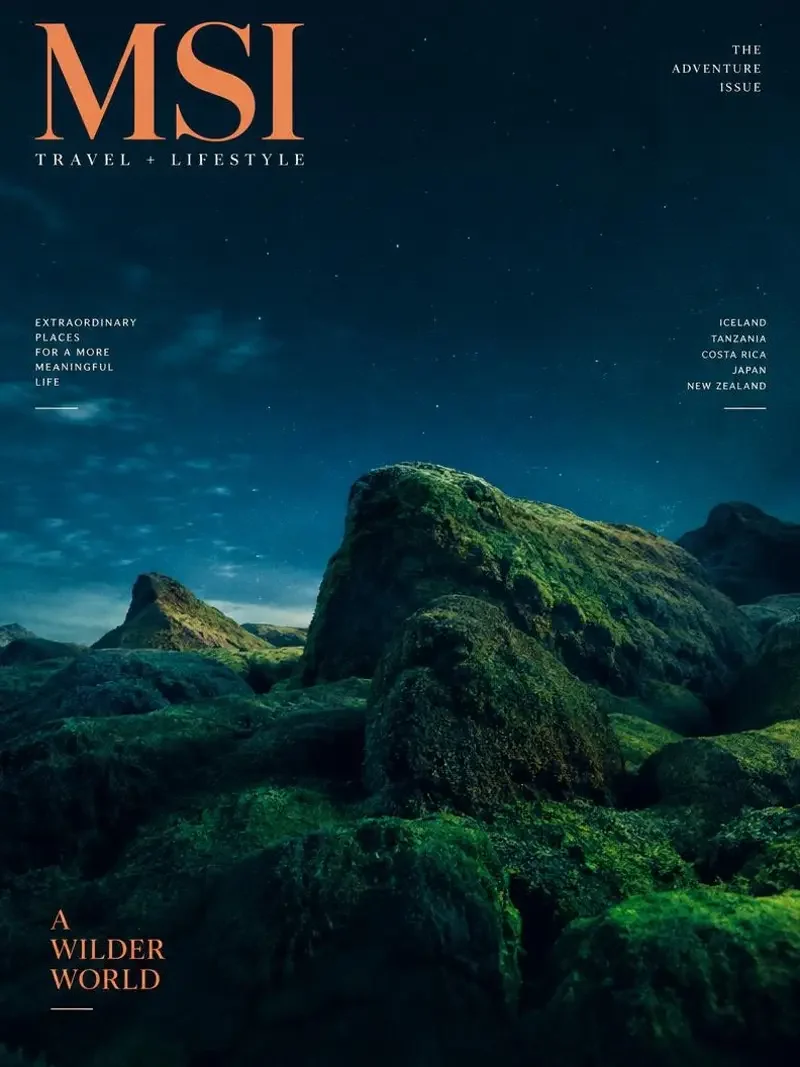 苔藓与星图短剧封面