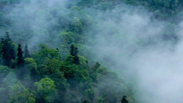 遭遇诈骗却巧妙逆袭，如何智斗骗子并反赚5万